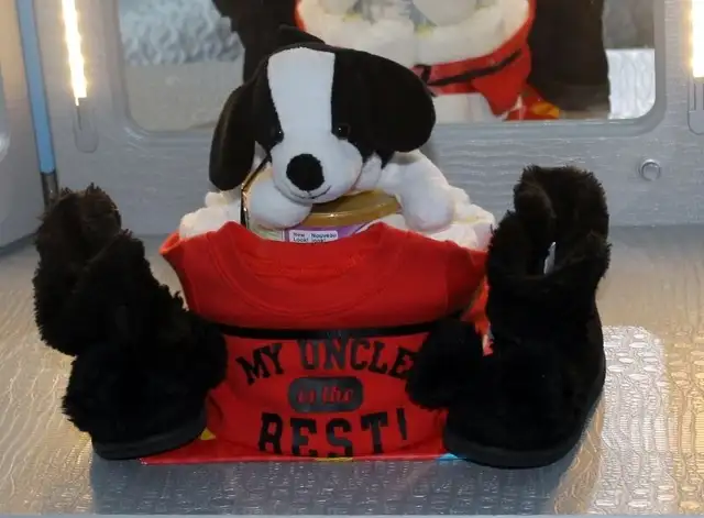 MY DIAPER CAKE CREATIONS in Other in Guelph - Image 7