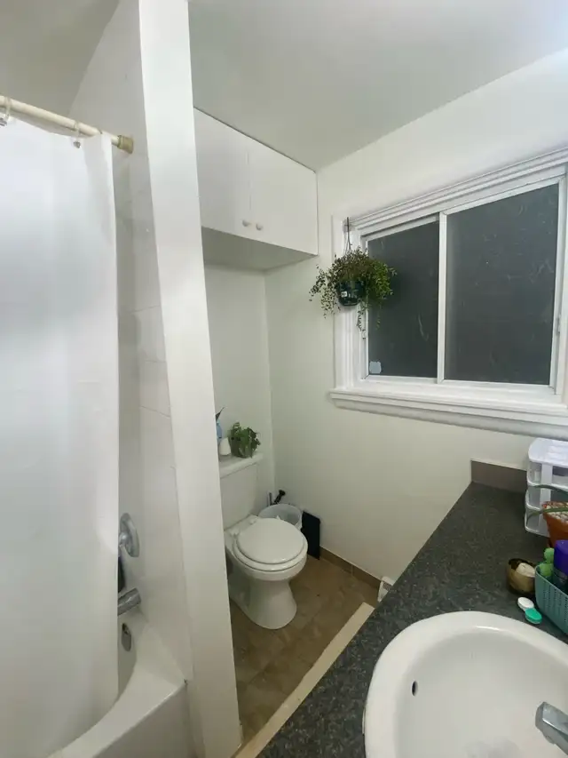 Room for rent in 3BR apartment in Room Rentals & Roommates in Ottawa - Image 4