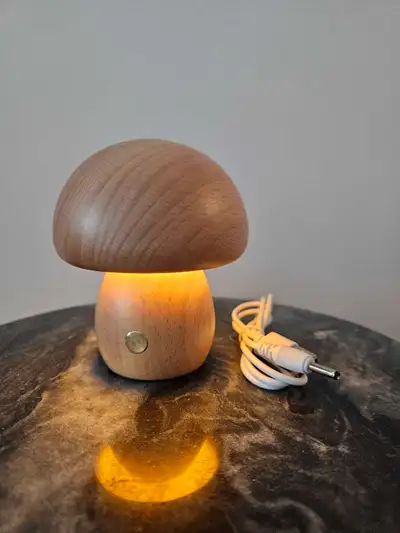 For sale: Decorative cordless mushroom lamp great for night light or ambience lighting. Comes witb u...