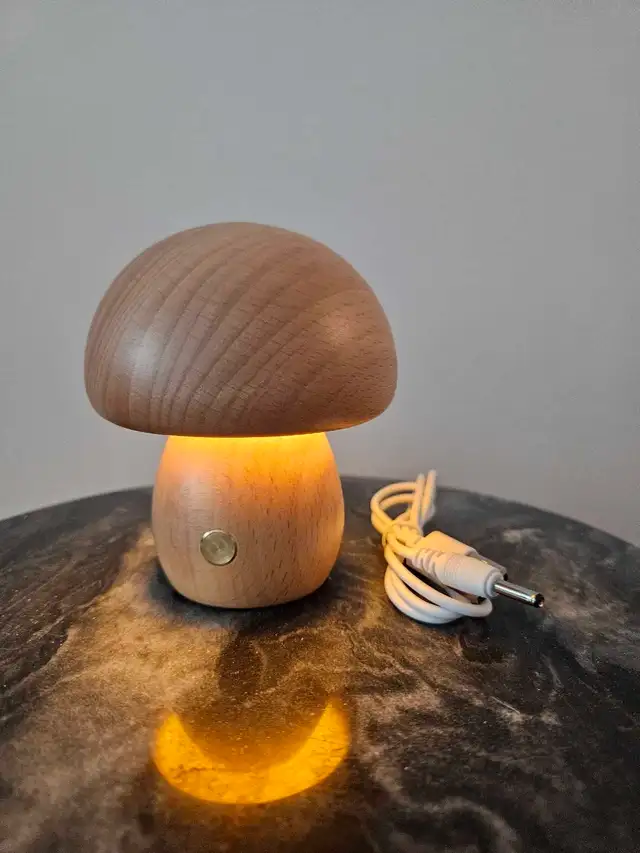 Decorative Cordless Mushroom Lamp in Indoor Lighting & Fans in Oakville / Halton Region - Image 2