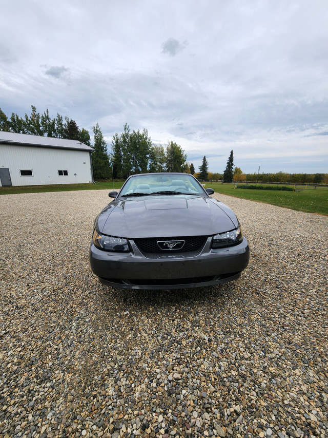 2004 Mustang GT in Cars & Trucks in Edmonton - Image 2