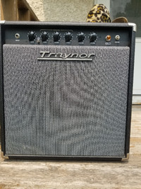 Traynor YGL-1 Guitar Combo Tube Amp