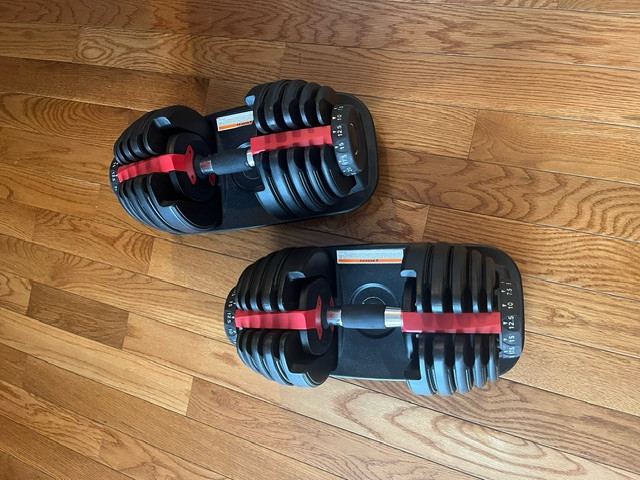 Adjustable Weights in Exercise Equipment in Kingston - Image 2