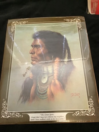 Native Indian wall art poster brand new