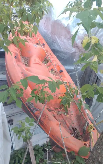 Bateau pour la pratique en eau peux profonde voir: selon votre choix de profondeur. Défectuosité min...