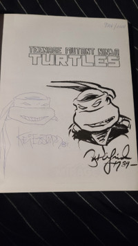 Teenage Mutant Ninja Turtles Collected Volume 1 1988