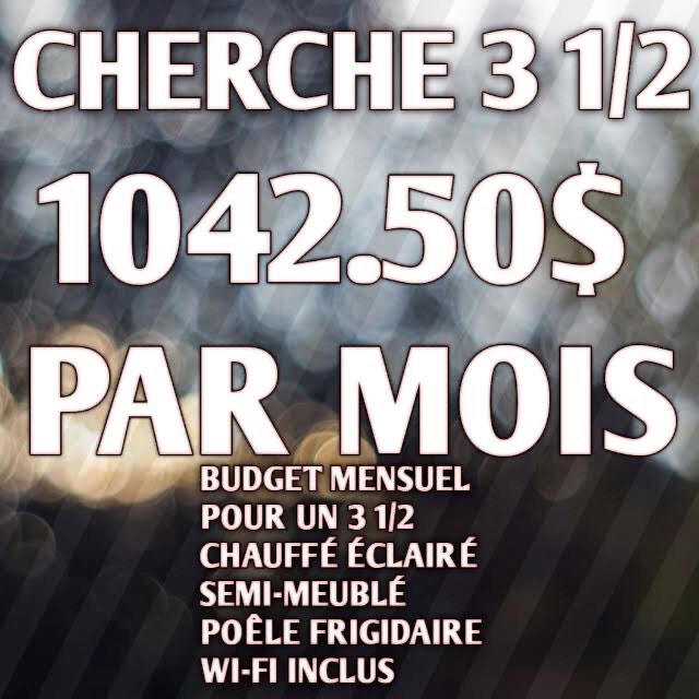 CHERCHE 3 1/2 VAL-DES-SOURCES — photo 1