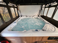 Dynasty Spa hot tub 