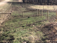 XE fencing for your farm or ranch. 20 years experience.