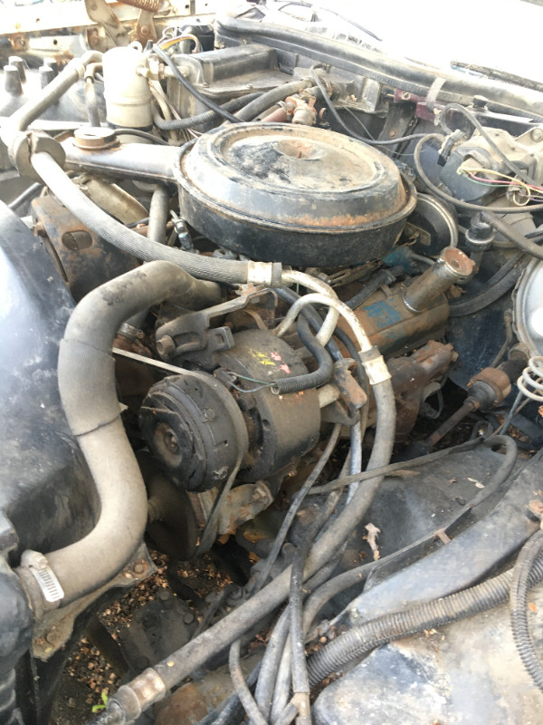 1981 Pontiac Parisienne (350 engine) + parts in Engine & Engine Parts in Winnipeg - Image 4