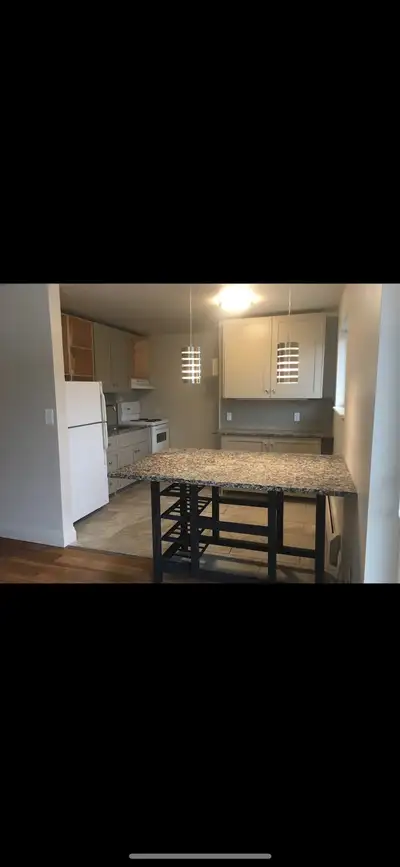 Recently renovated 2 bedroom apartment on top floor of walk up building overlooking the lower river....