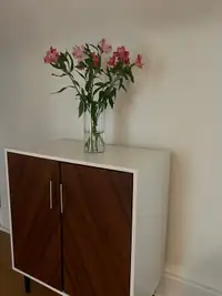 Accent cabinet 