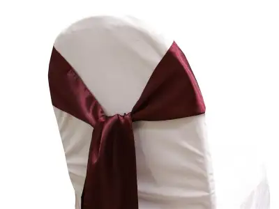 Egg Plant Purple Satin Chair Sashes and Napkins, View more