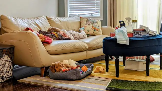 Italsofa sofa