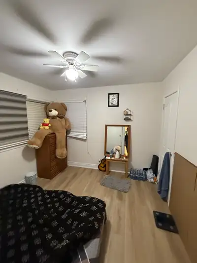 Furnished Private room available from December in a clean 3-bedroom house.Looking for someone who ca...