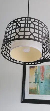 Single light pendant light fixture