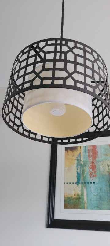 Single light pendant light fixture in Indoor Lighting & Fans in Fredericton