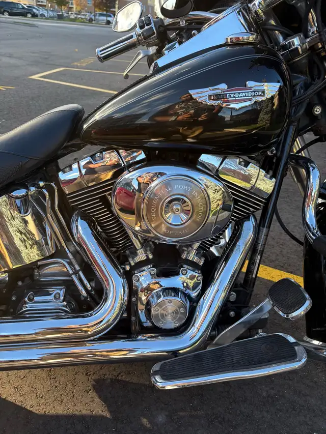 HARLEY DAVIDSON FLS SOFTAIL DELUXE. in Street, Cruisers & Choppers in Oakville / Halton Region - Image 4