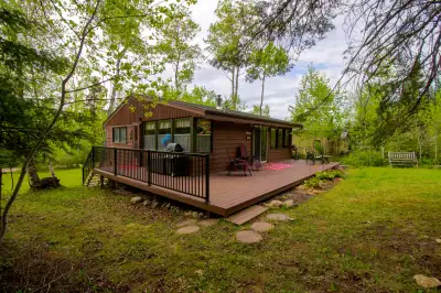 Boats are back on Clear Lake! This gorgeous, well-maintained cabin is surrounded by beautiful greene...