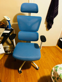 Ergonomic chair