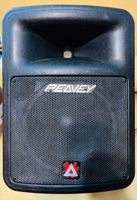 Peavey Impulse 100 2-Way  10"Passive Speakers