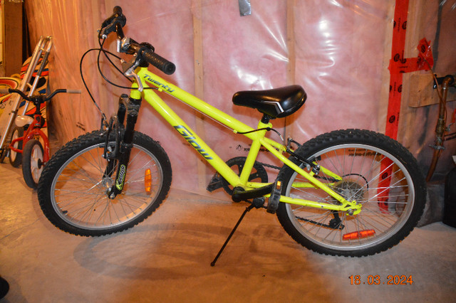 Glow Youth Bike, 20-in in Kids in St. Catharines