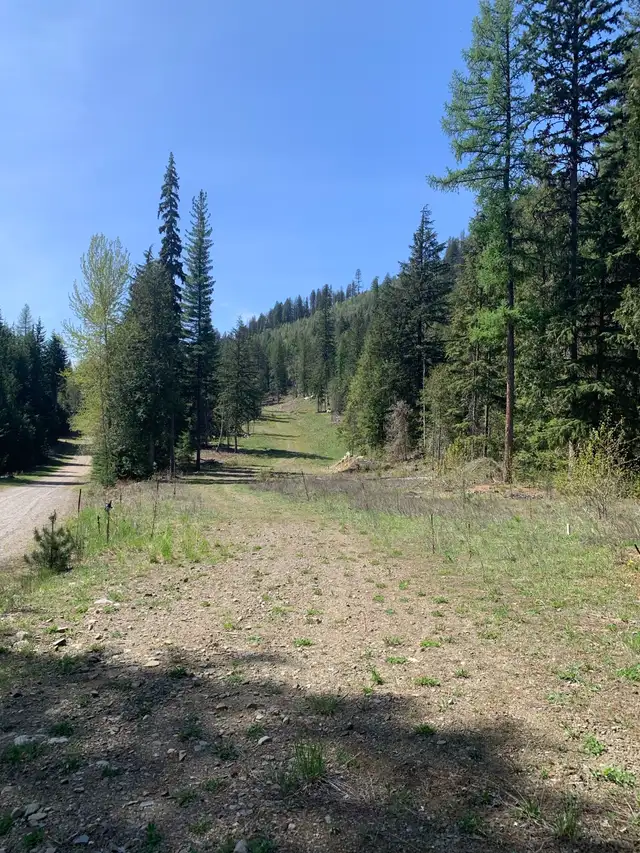 10 Acres Build-Ready Land in Land for Sale in Nelson - Image 9