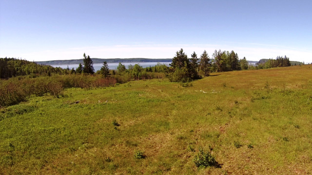 Oceanfront Property Bay of Fundy in Parrsboro in Land for Sale in City of Halifax