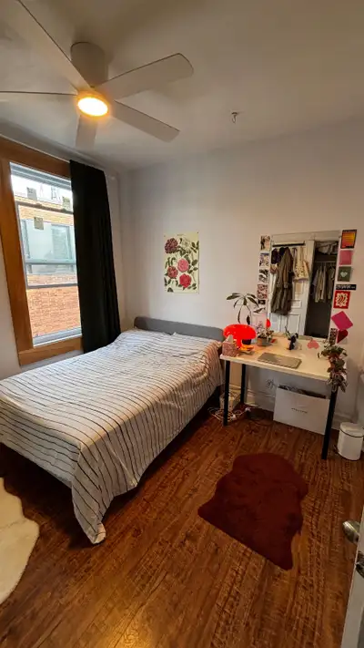 Coloc à 3 cherche son/sa 4ᵉ coloc - Plateau Mont-Royal - 710$