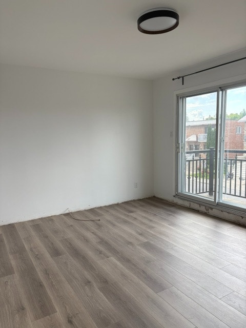 4 1/2 à louer Nouveau Rosemont — photo 1