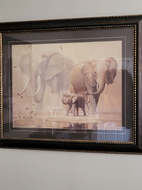 Ian Coleman  African Elephant  painting