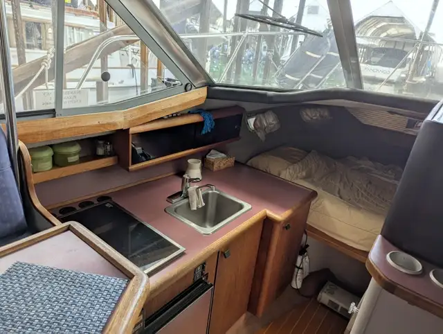 Bayliner 2855 - 375 hp VP Duo Prop in Powerboats & Motorboats in Comox / Courtenay / Cumberland - Image 9