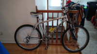 norco mocha mountain bike
