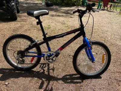 Infinity Crazyhorse HT20 Bicycle, View more