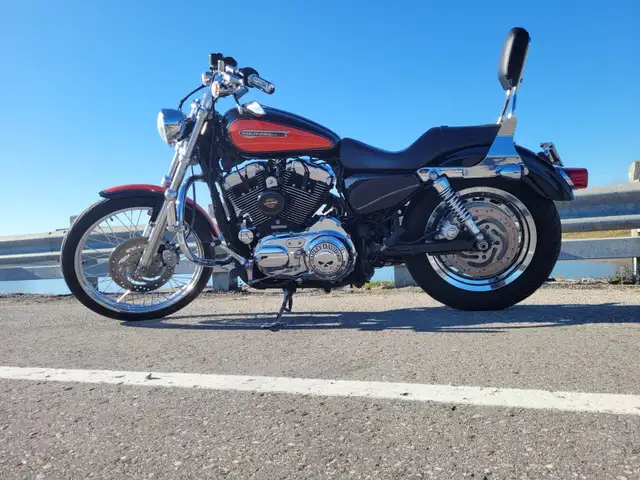 2008 Harley Davidson Sportster 1200XL in Street, Cruisers & Choppers in Kitchener / Waterloo - Image 3