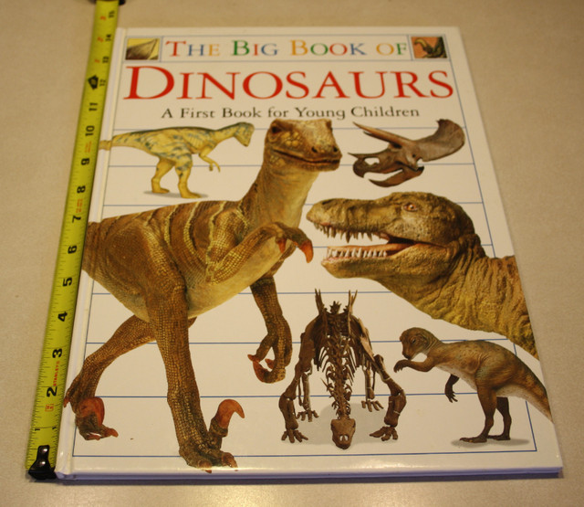 The Big Book Of Dinosaurs in Children & Young Adult in Saint John