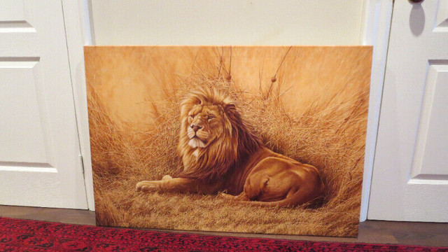 Africa Lion Canvas Art Nature Poster Wildlife42" wide height 2 in Arts & Collectibles in Markham / York Region - Image 2