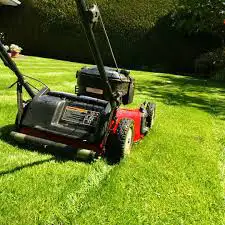 GRASS CUTTING SERVICE , View more