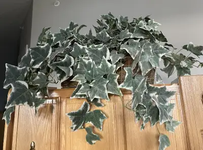 Artificial Indoor Silk Ivy Plant, View more