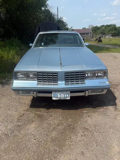 1981 cutlass Calais with a 4.4L v8 will full royal blue swayed interior and only 60,000 km on her I...