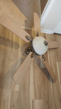 Ceiling Fan