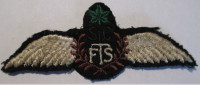 EFTS St-Catherine Flight Training School Instructor Pilot Wings