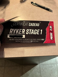 Programmation can-am ryker stage 1