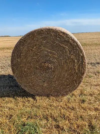 round bale straw, View more
