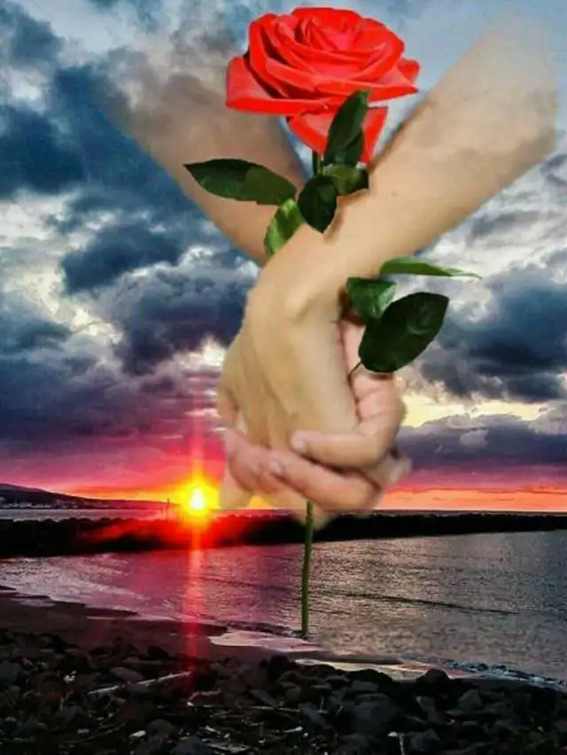 A friendship can change a woman's life.63882173456001120
