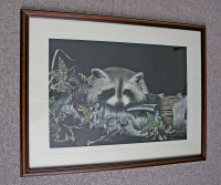 Young Racoon In Hidding-Print by Artist Judy Gratto