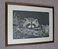 Young Racoon In Hidding-Print by Artist Judy Gratto