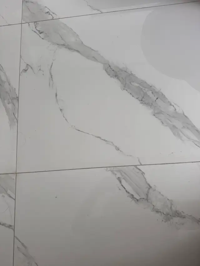 3-1/2 libre 1er février idéal pour étudiant