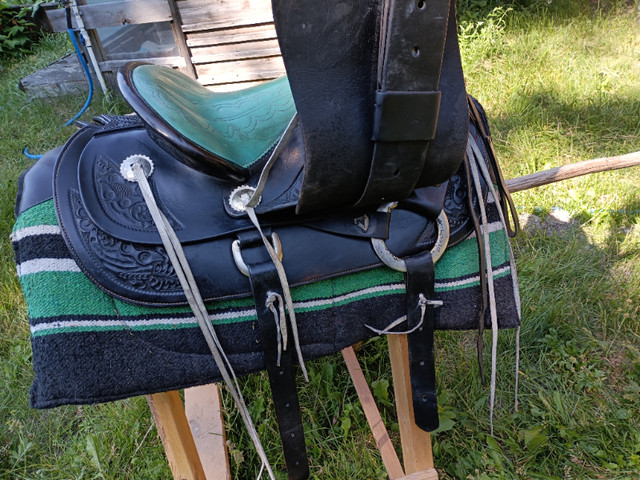 Saddle custom made in Equestrian & Livestock Accessories in Kamloops - Image 3