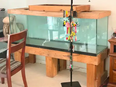 Looking for free reptile decor and 2x 8.5-10 inch dome fixtures, View more